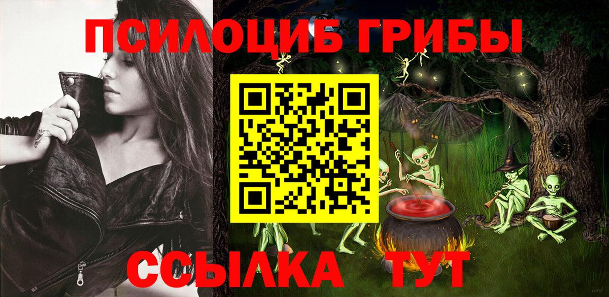 Галлюциногенные грибы Psilocybine cubensis Всеволожск