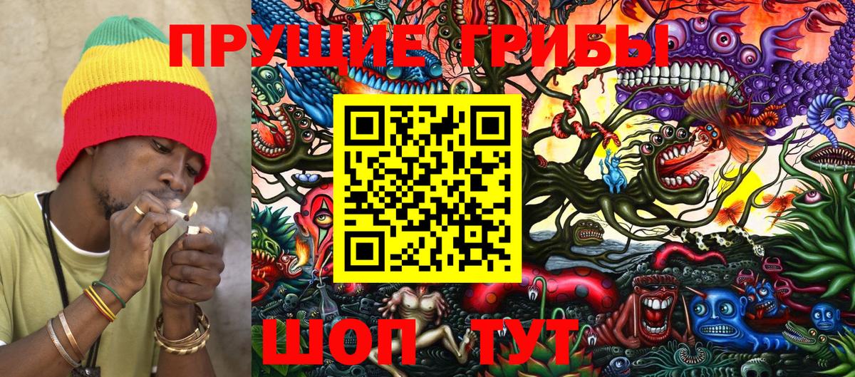 купить наркотик  Псилоцибиновые грибы мухоморы  Галлюциногенные грибы GOLDEN TEACHER  Вход с VPN  Всеволожск 